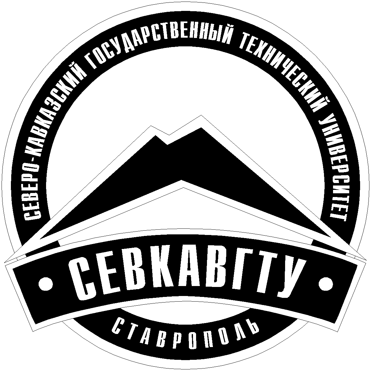 Северо-Кавказский федеральный университет (СКФУ)